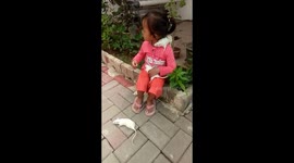 Animal Lover Toodler Plays With White Mice