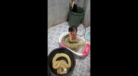 Another Video Shows The Fearless Little Girl in Indonesia Taking A Bath with Crocodile and Python