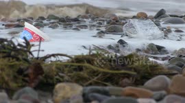 Plastic litter being removed from beach 2