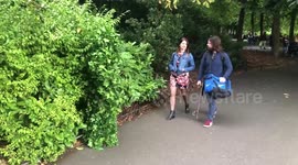 RAW: 'Bushman' prank gets hilarious reactions from Irish public