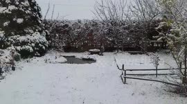 Snow blankets garden in UK's Northumberland