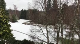 Back to winter! Scotland blanketed by snow, causing travel chaos