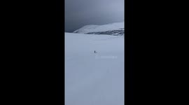 Dogs start barking at their own echos in Norwegian valley
