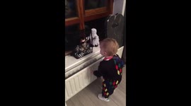 Halloween kids get scared