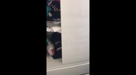 Cat Hides in Wardrobe