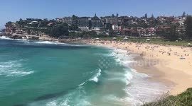 Aussie Beach Day