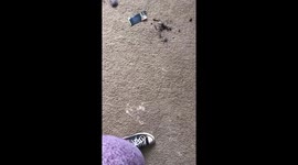 Guess which dog is the guilty one. https://t.co/P9NLgVcLEL
