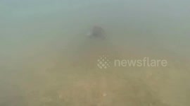 Under water adventure at Lake Amistad, Tx