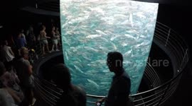 Cylindrical Aquarium at Lora Parque Tenerife