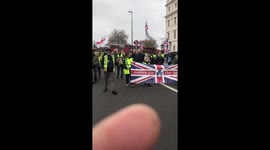 Yellow vests march Knightsbridge