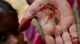 Bizarre south Indian festival sees people play with deadly poisonous scorpions