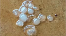 Severe hailstorm hits southern India