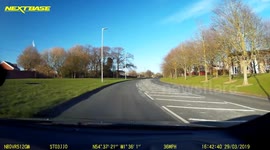 Car Crash