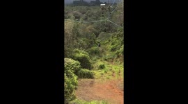 Terrifying Zipline Rescue in Hilo Hawaii