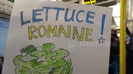 Lettuce Romaine! placard on a tube train after the Peoples Vote march on 23 March 2019