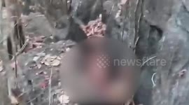 Thai man sentenced to death for raping and murdering German backpacker