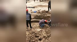 Ancient fossilised ivory discovered on construction site in China’s Henan