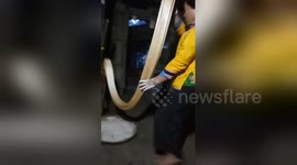 Vietnamese woman stretches out gooey traditional candy