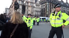 Heavy police presence at pro-Brexit rally on 29 March 2019