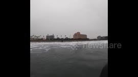 Adventurous spaniel learns how to surf the waves with his owner in Japan