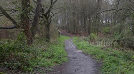 A granddad is UK’s oldest runner after being picked to compete for England aged 80