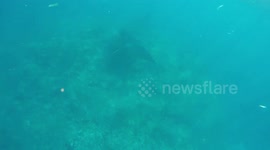 The sad truth about our oceans