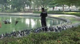 Fireman Mobbed By Pigeons While Eating