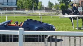 Buggati race with horse.