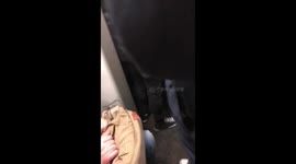 Loud man on TFW train appears to have been drinking