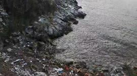 Sea pollution