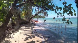 Tropical Coral Beach Thailand island