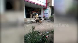 Kind-hearted man gets treats for street dogs in south India