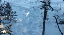 snowshoeing at Brainard Lake, Indian Peaks Wilderness, Ward, Colorado
