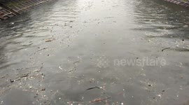 Creepy, rubbish carried by the river when heavy rains hit