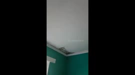 Slum Landlords 2018 UK