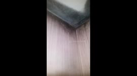 Slum Landlords 2018 UK. Part 5