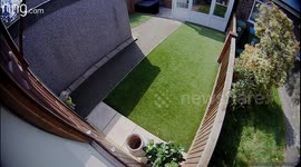 Dog preventing house next door from being sold