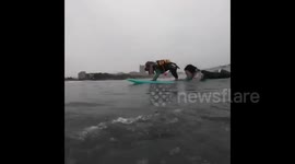 Adventurous spaniel learns how to surf the waves with his owner in Japan
