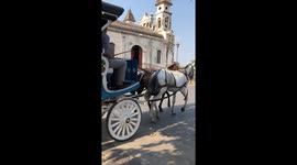 Horse and carriage seen operating in Granada, Nicaragua