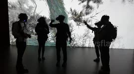 VR experience