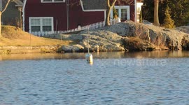 Model Boat Racing Marblehead, Massachusetts