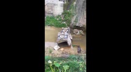 Shocking moment - The rescuers are trying to rescue the trapped buffaloes due to the buffalo truck that plunges into the abyss