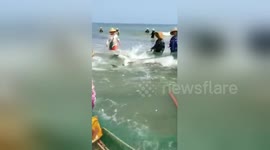 Chinese fishermen free enormous shark trapped in fishing net