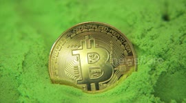 Bitcoin in a sea of green going up in price - crypto green