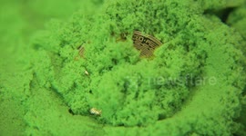 uncovering a green bitcoin coin