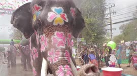 Elephants soak crowds with their trunks in mass water fight