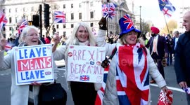 Pro-Brexit supporters say they 'want country back' in latest Westminster protests