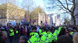 Pro-Brexit protest outside Downing Street
