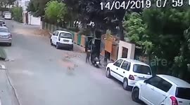 Horrific footage shows stray dogs mauling a child in northern India; victim in hospital