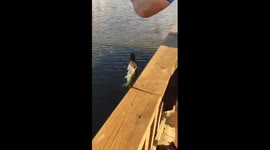 Man Loses Big Catch at the very last second!